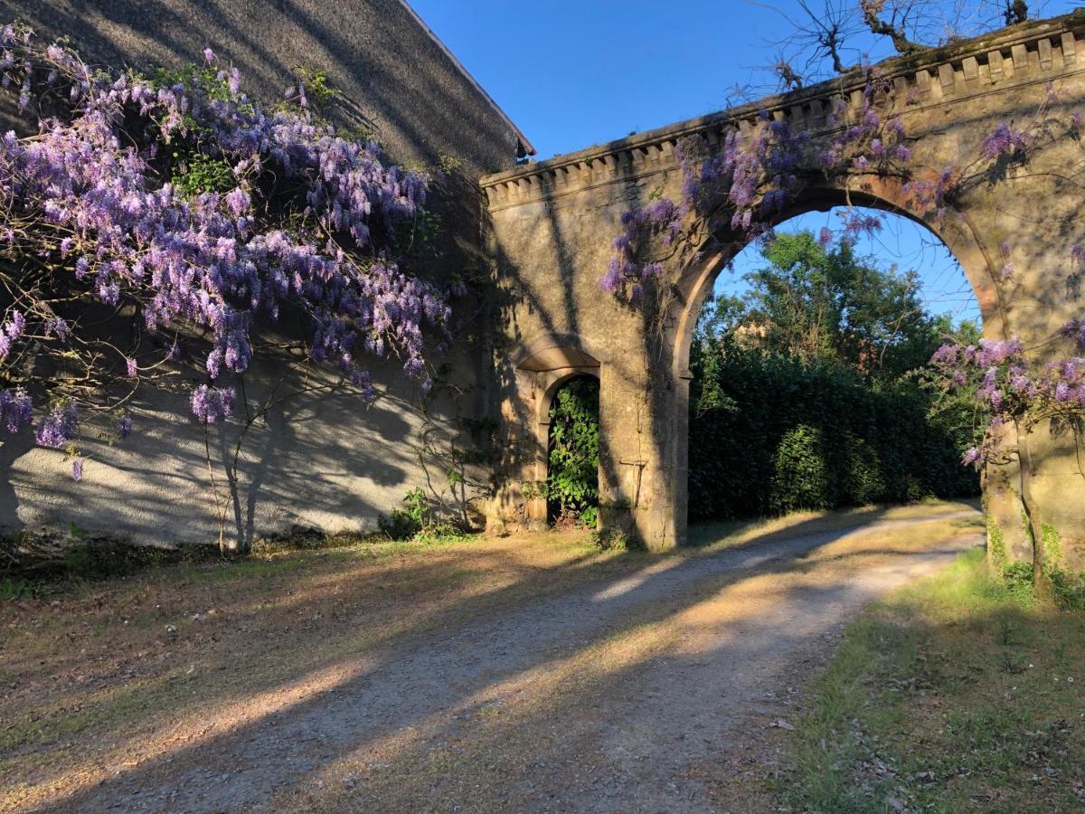 Chateau De La Mothe Saint-Sulpice-en-Pareds Exterior foto