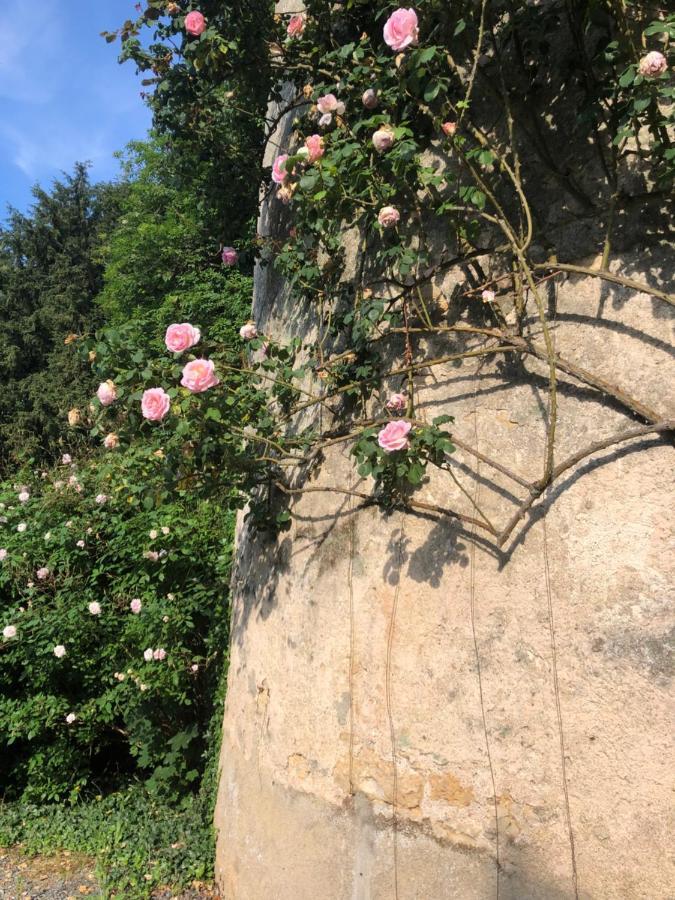 Chateau De La Mothe Saint-Sulpice-en-Pareds Exterior foto